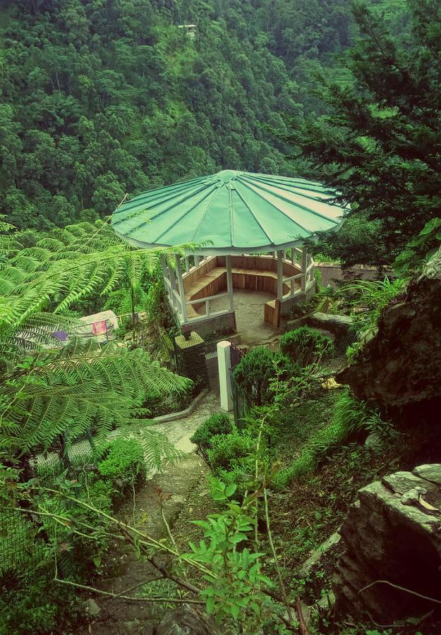 Enchanted Forest Farmstay Gangtok Kültér fotó