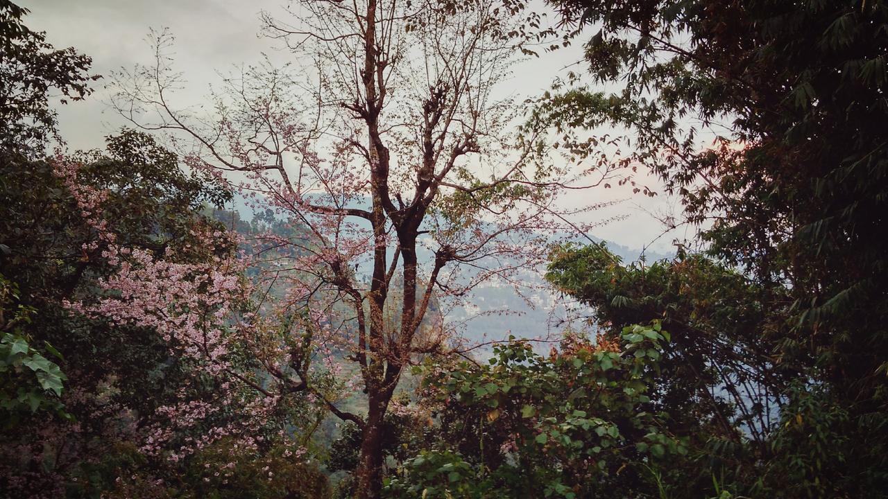 Enchanted Forest Farmstay Gangtok Kültér fotó