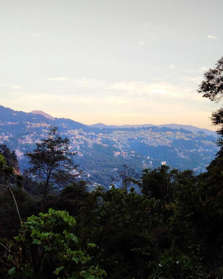 Enchanted Forest Farmstay Gangtok Kültér fotó