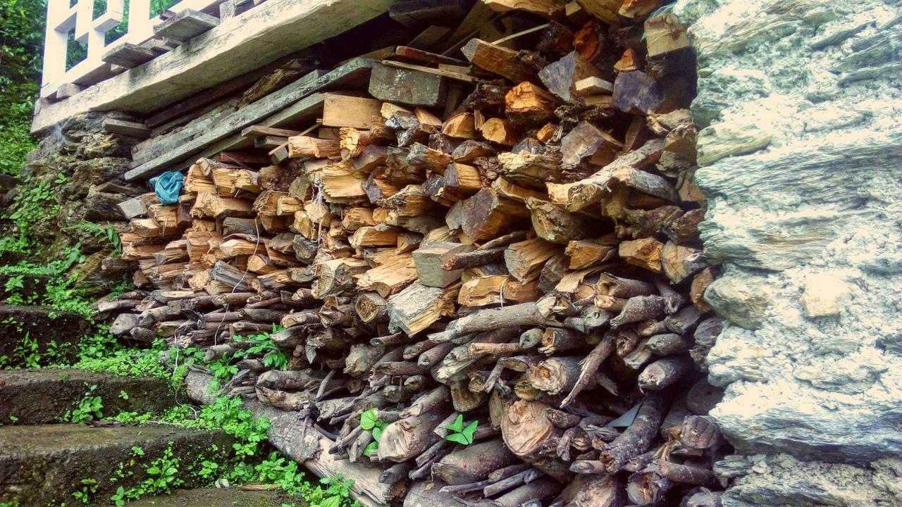 Enchanted Forest Farmstay Gangtok Kültér fotó