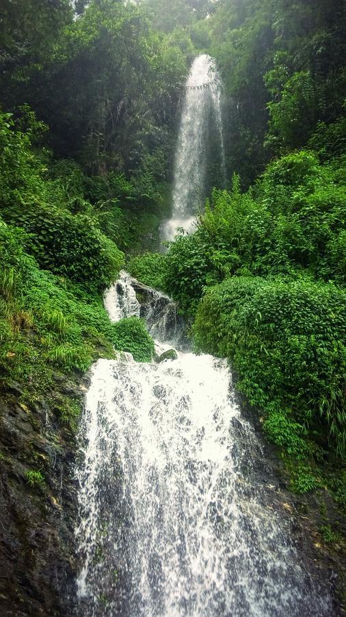Enchanted Forest Farmstay Gangtok Kültér fotó