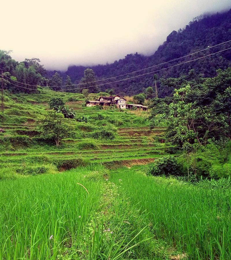 Enchanted Forest Farmstay Gangtok Kültér fotó