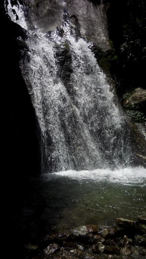 Enchanted Forest Farmstay Gangtok Kültér fotó