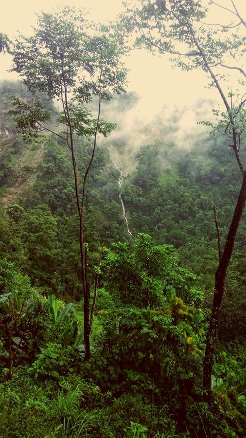 Enchanted Forest Farmstay Gangtok Kültér fotó
