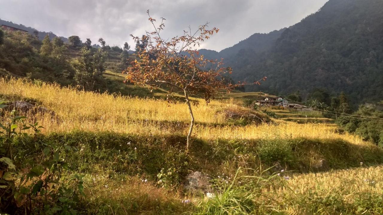 Enchanted Forest Farmstay Gangtok Kültér fotó
