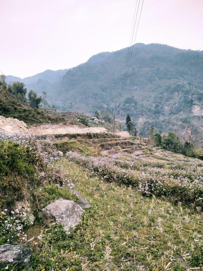 Enchanted Forest Farmstay Gangtok Kültér fotó