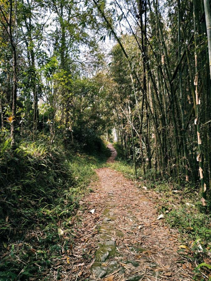 Enchanted Forest Farmstay Gangtok Kültér fotó