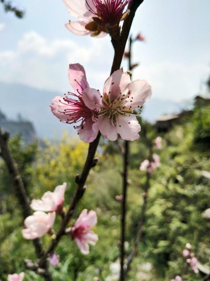 Enchanted Forest Farmstay Gangtok Kültér fotó