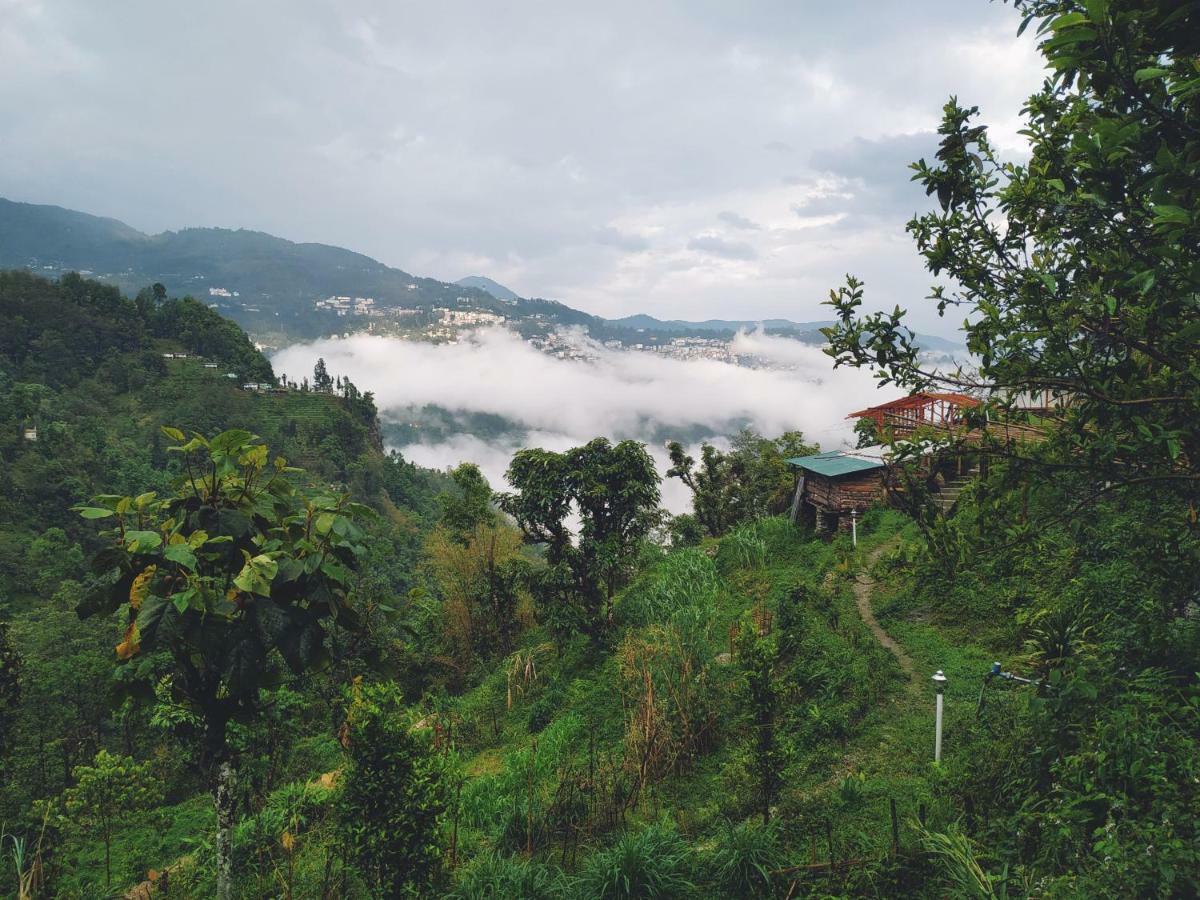 Enchanted Forest Farmstay Gangtok Kültér fotó