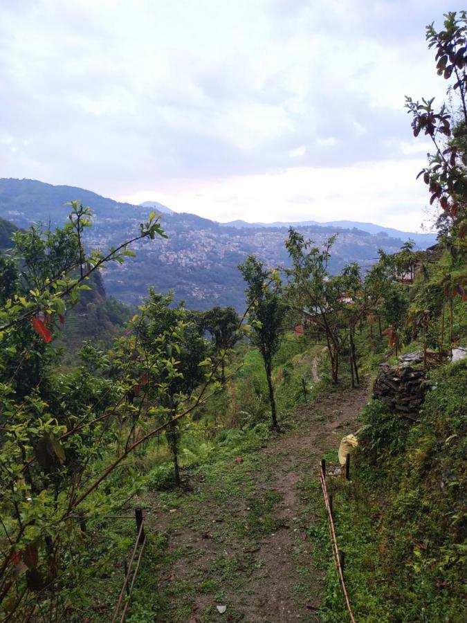 Enchanted Forest Farmstay Gangtok Kültér fotó