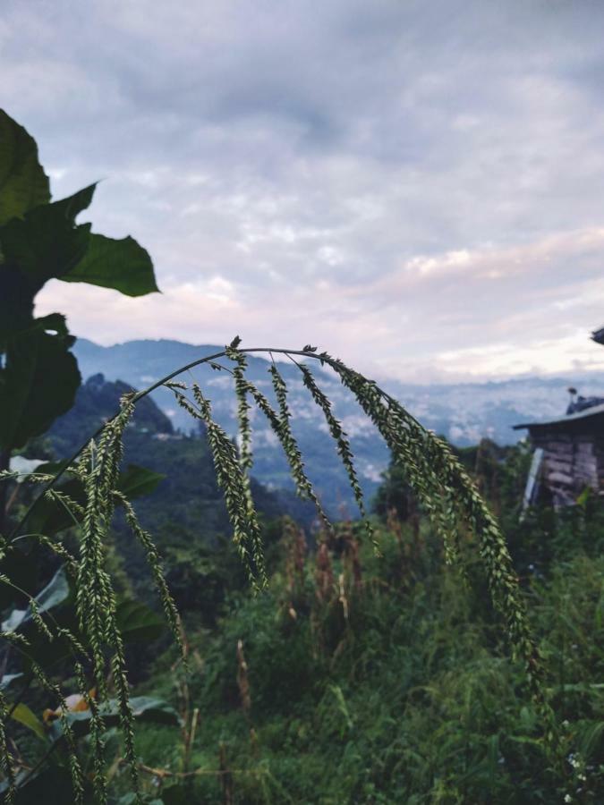 Enchanted Forest Farmstay Gangtok Kültér fotó