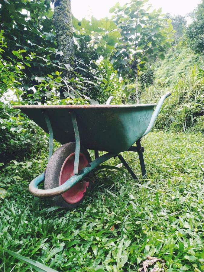 Enchanted Forest Farmstay Gangtok Kültér fotó