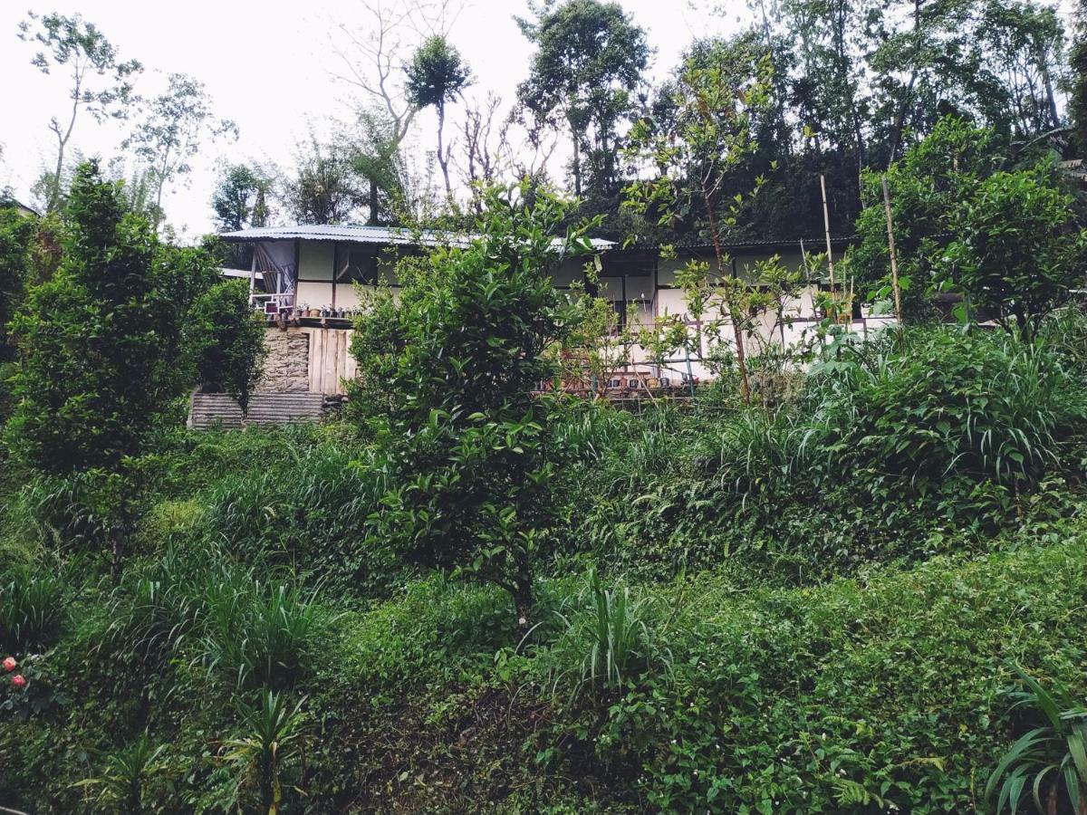 Enchanted Forest Farmstay Gangtok Kültér fotó